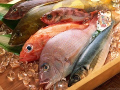 fresh_fish